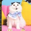 seasonpawfamily