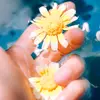 rountine_onmylife