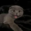 monroshka_73