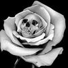 will__marshall_