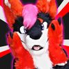 cash_the_fox