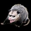 xxdaisythepossumxx