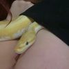 rubber_ducky26