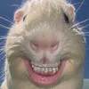 gehhhhhhhhhx
