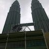 rut80purba