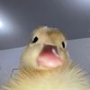 mpnnnnnnnnnnn