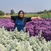 pierose_august35