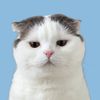 phmee789