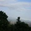 zdnguyen999