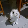 valezavazava00000031