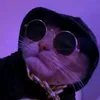 alonsodc05_