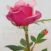 nete_dss