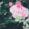 vichu_912