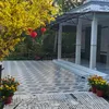 dinhdang09