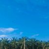rizzaaulia7