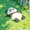 panda_250244