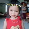phmtnh217