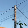 tieunu.dangbuon