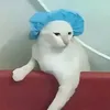 lysamaraa