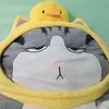 hello.meoku