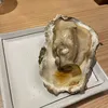 ddddicek3