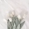 tk_ms_ma_hi