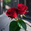 alixamgin282