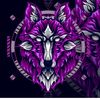 nayakaulfr21