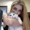 meow.gb09