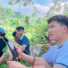 hoanghuan_002