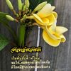Namtarn 7895😜💐✌️