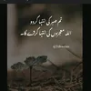 syedazahra738