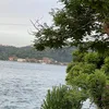 yamamahali