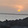 joeellis_727