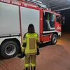 elina.2310