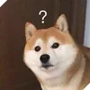 losefrog146