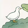 _turtle6