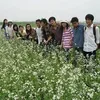 thaidien0