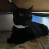 minjie_123