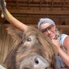 nobullfarm