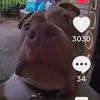 mason_dattoli25