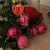 aisha_23496