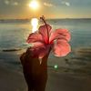 zoyaahmedd12