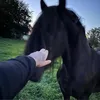 wY