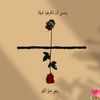 mohamed.ali80030050