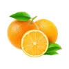 ororange3_