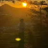 Anh ngăm đen 🐻