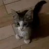 mew_mefi