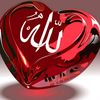 aol_852