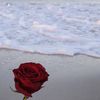 aanood.m